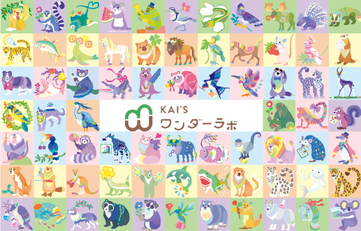 �J�C�Y�����_�[���{�@KAI'S�����_�[���{�@�˔\���́@���i�f�f�@�L�����N�^�[�@�z���O�`�J��